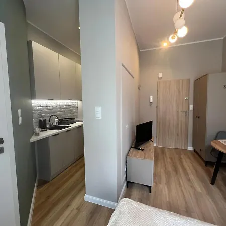 Apartment Grey 1 Poznan