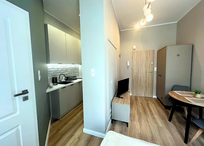 Grey 1 Apartment Poznan